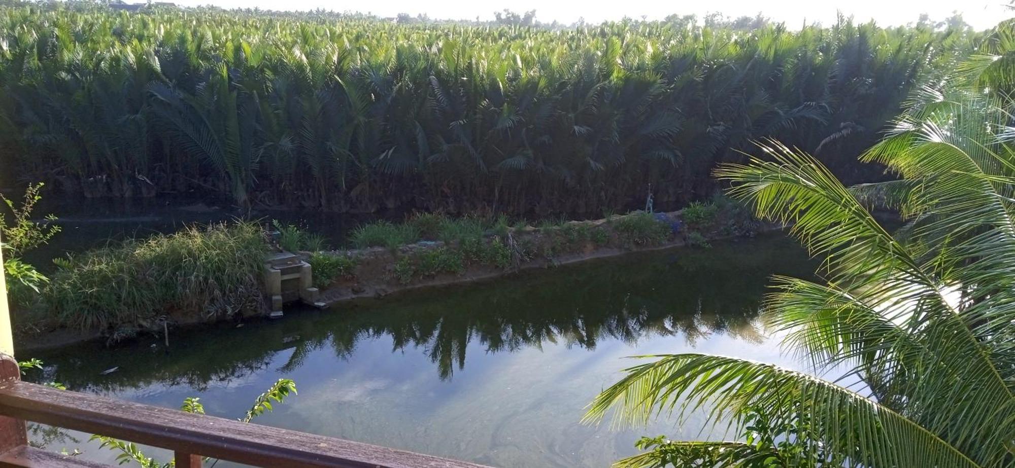 Lakeview Villa Homestay Hoi An Esterno foto